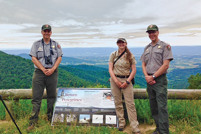 Jim Schaberl stands with intern Hannah Andrascik and Rolf Gubler for a peregrine falcon rearing program.