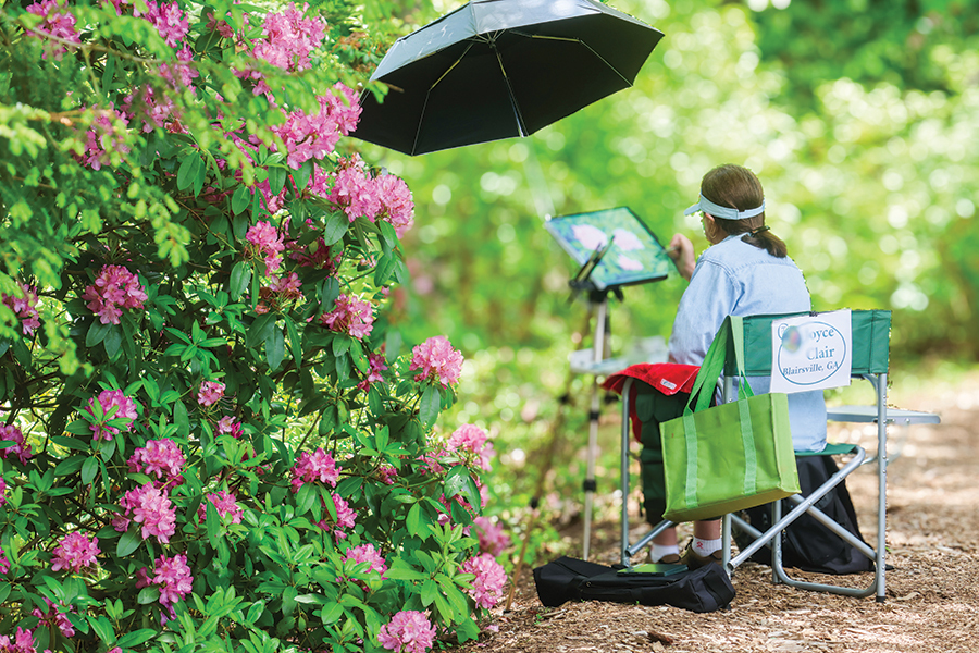 Top of Georgia Plein Air Festival, May 8-10, Hiawassee, Georgia.