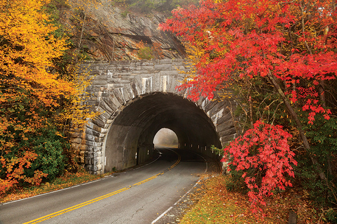 Pick a spot, any November spot. Says Scott Graham of this photo: “This is just a random spot I found looking north along the Blue Ridge Parkway near milepost 322 (between Bear Den Overlook MP 323  and Chestoa View MP 321).