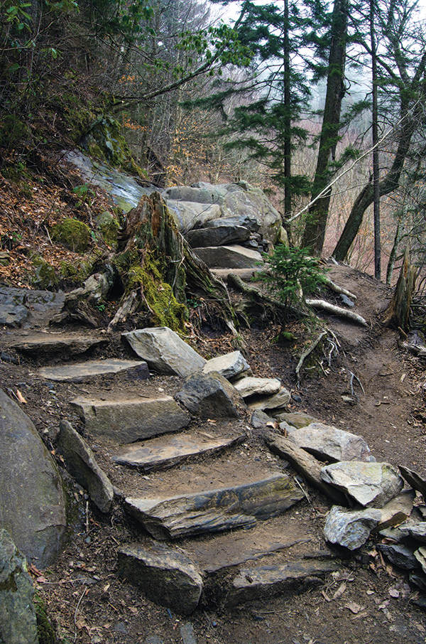 The Appalachian Trail coming up Newfound Gap in the Great Smoky Mountains National Park.