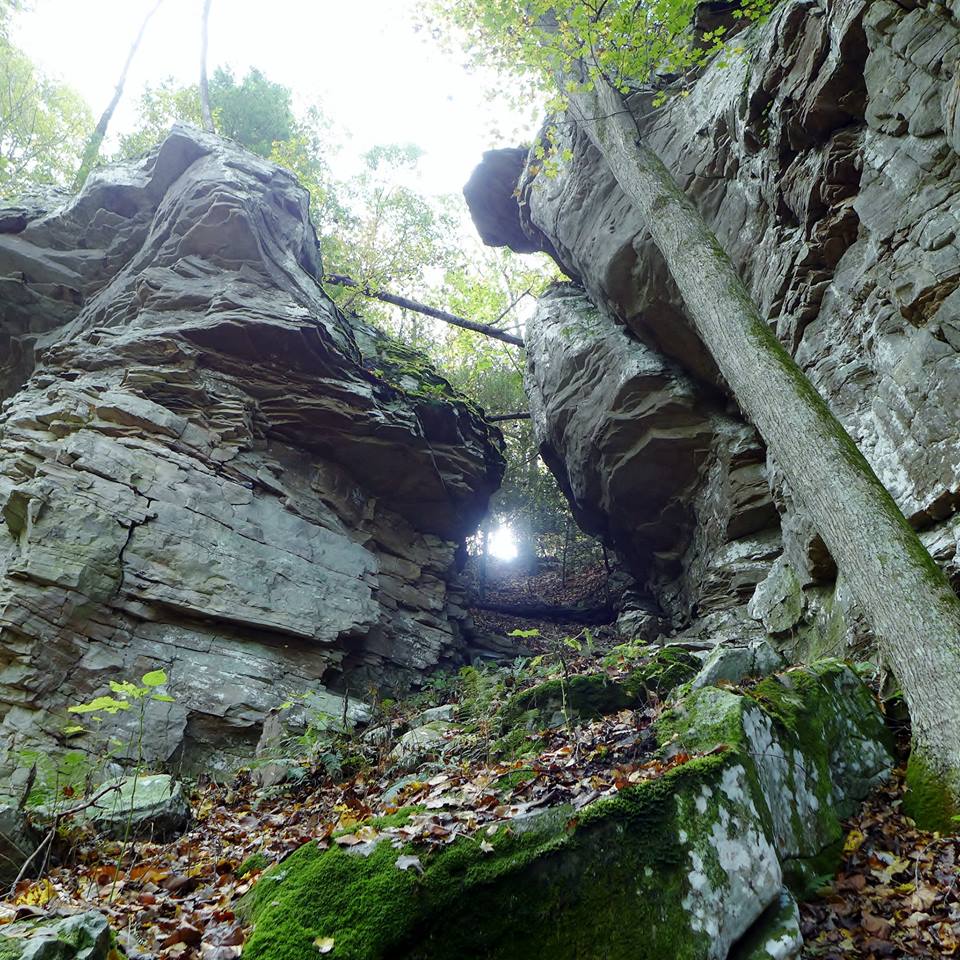 Geological Trail at Breaks Interstate Park
