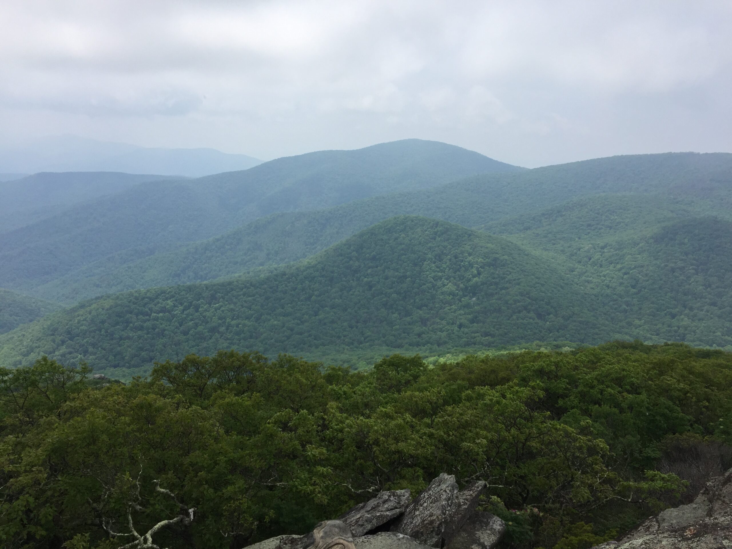May 25: The view from Mt.Pleasant looking southwest.