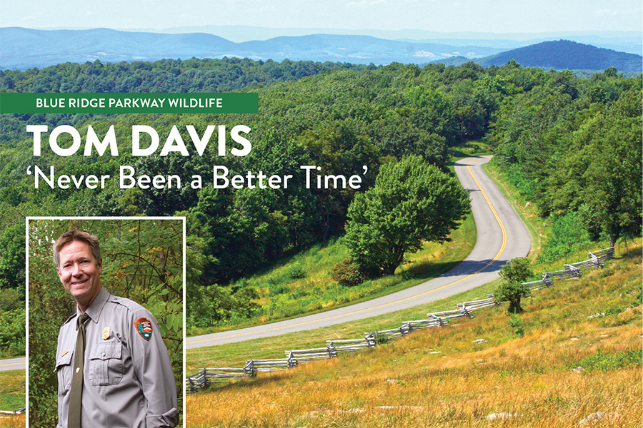 The Blue Ridge Parkway’s easy-flowing 469 miles offer a variety of habitats. INSET: Tom Davis says he’s been drawn to nature for as long as he can remember. His earning of an environmental science degree coincided with the park service’s push to tally plant and animal species, and a career was born.