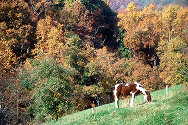 It's known for rural beauty and artful crafts.