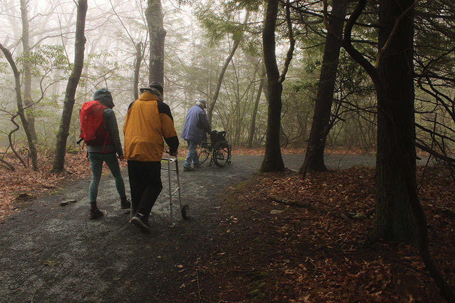 Shenandoah National Park’s Limberlost Trail offers varied flora with an easy grade.