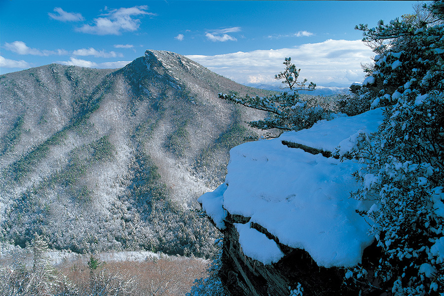 Hawksbill Mountain, at 4,009 feet, provides great views into North Carolina’s Linville Gorge Wilderness. The rugged terrain of Linville Gorge spared it from early 20th century logging operations because extraction was deemed unprofitable. In 1964, Linville Gorge was designated a Wilderness Area, protecting over 11,000 acres and preserving one of the few remaining old-growth forests in the southern Appalachians.