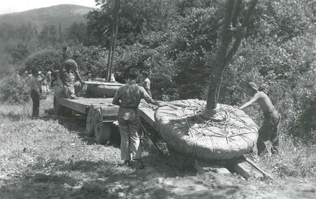 These Civilian Conservation Corps workers, circa 1940, loaded large trees into what would become Doughton Park, between mileposts 237 and 248.