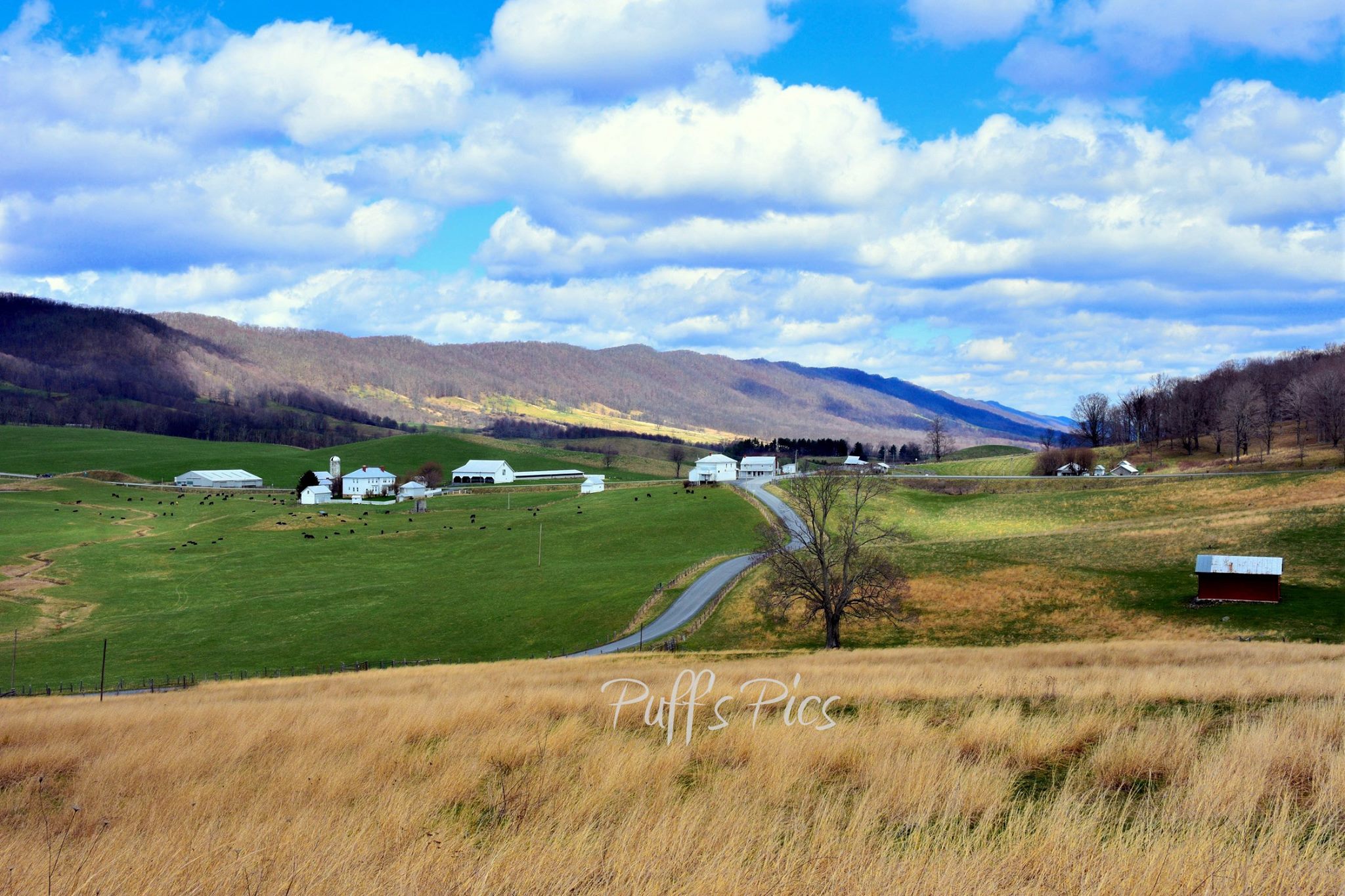 Beautiful early spring day in Hightown, VA in Highland County... "Dividing Waters Farm"
Taken last weekend by Doug Puffenbarger