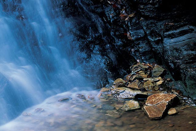 The base of Upper Cascades. We're along Cascade Creek on the Upper Cascades Trail.
