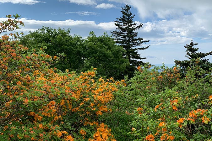 Views along the road to Boone, N.C.