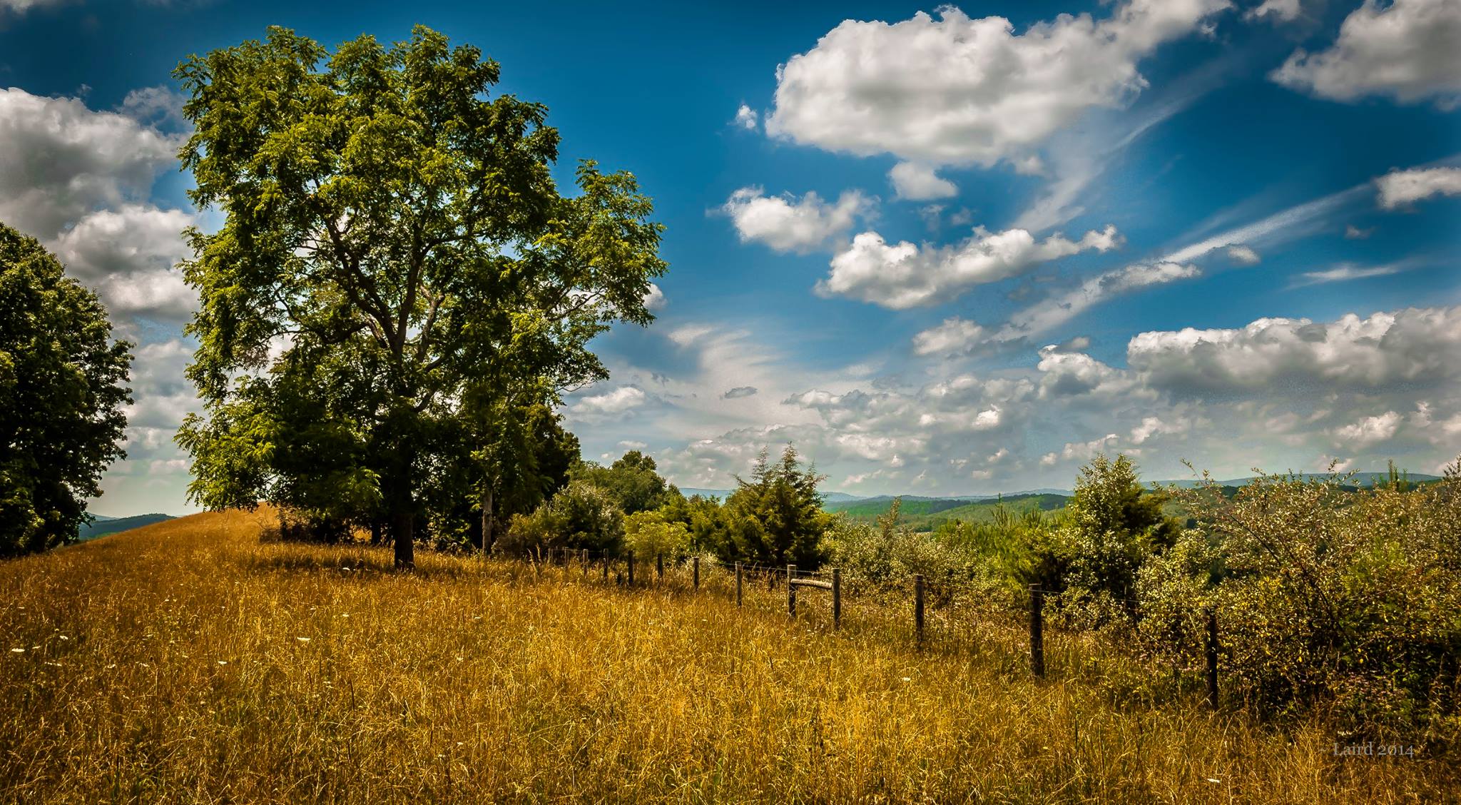 A beautifully perfect day out back behind the barn — in Bland, Virginia.