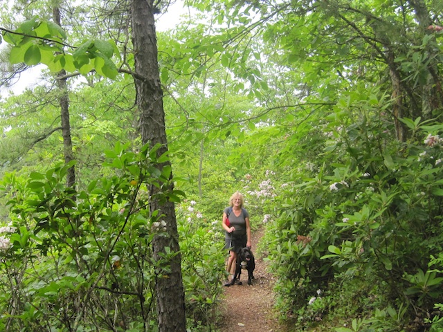 A girl and her dog along the Appalachian Trail.