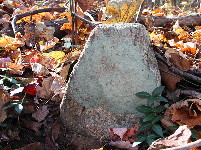 Field stone grave markers at a backcountry cemetery near Butterwood Branch.