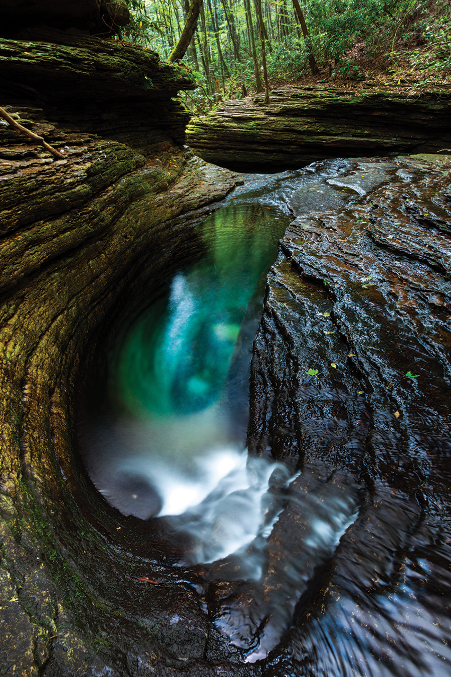 Devil’s Bathtub is tops for Virginia swimming holes.
