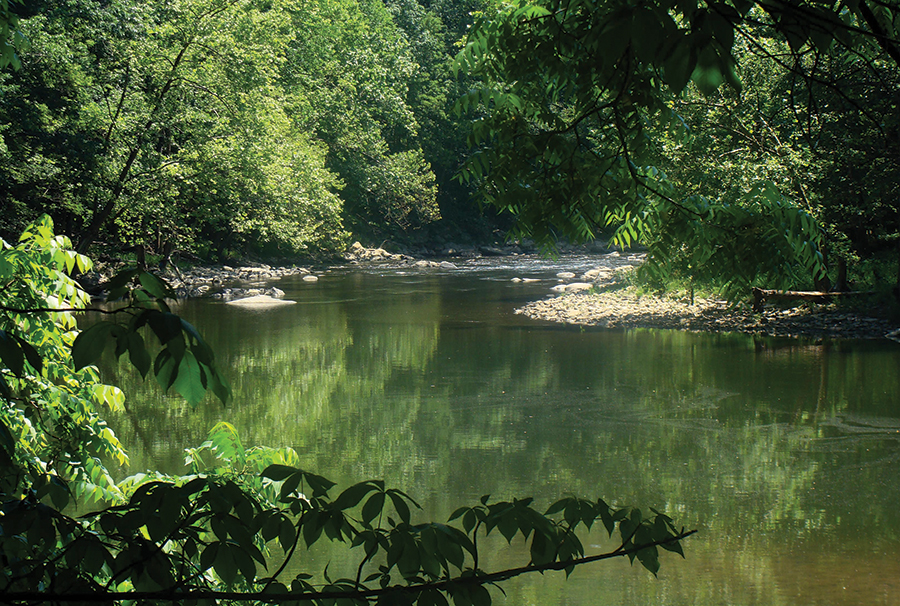 West Virginia’s Bluestone 
River was designated a National Scenic River.