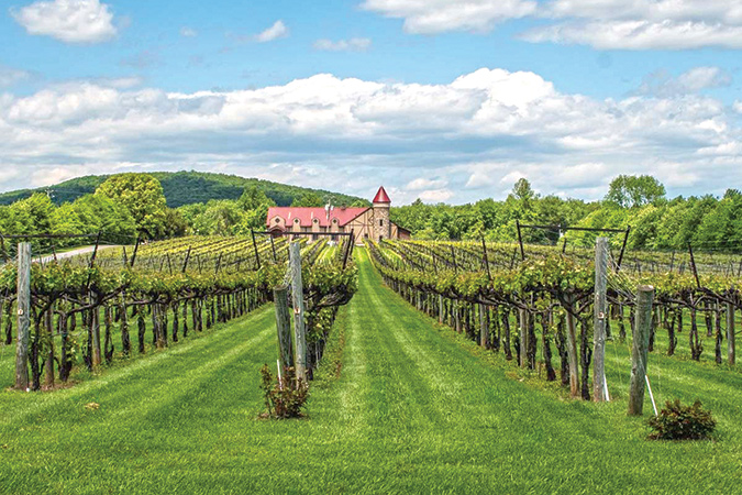 At Horton Winery, along Virginia’s Monticello Wine Trail, Viognier and Horton are the  primary varietals.