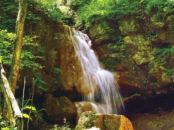 Falls of Falls Ridge Preserve. (0.9-mile balloon, easy). “These falls are the most peculiar in the Old Dominion,” the entry begins. Here, calcium carbonate deposits—travertine—create the rounded stairsteps of the falls. GPS: 37.193111, -80.321417