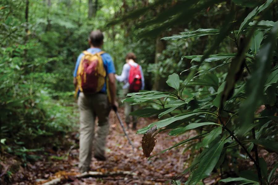 North Carolina’s Bobs Creek Natural Area has been expanded by 6,000 acres.