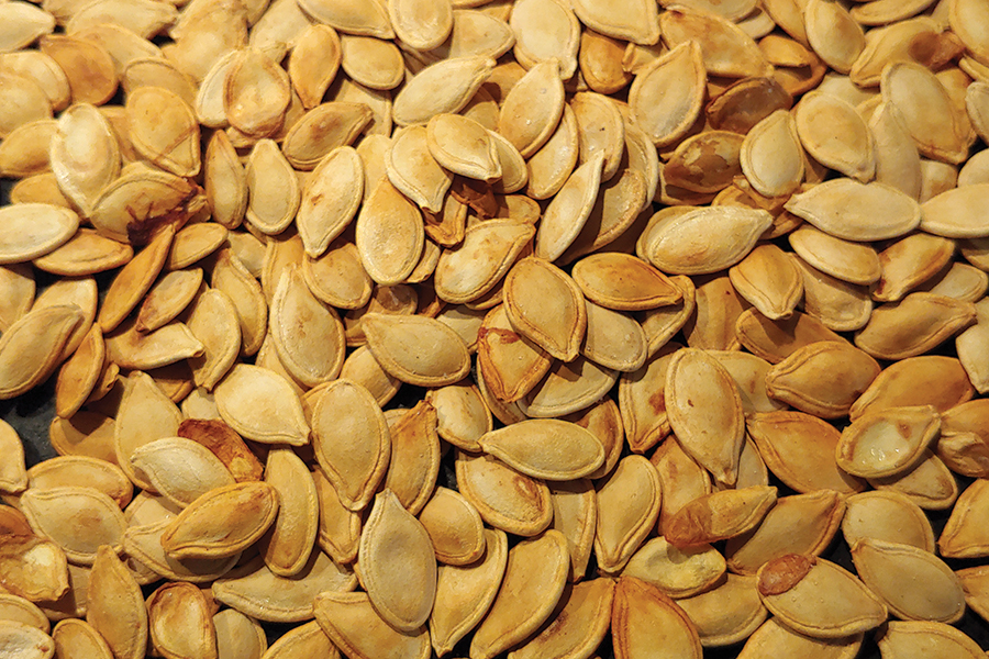 The keys to tasty pumpkin seeds—beyond having them at all—are cleaning and brining.