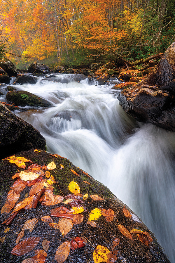 Big Snowbird Creek, in far Western North Carolina, has the distinct charm of creeks in and around the Smokies, where the colors tend to hang on later into the season.