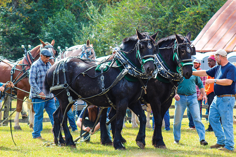 Blue Ridge Folklife Festival