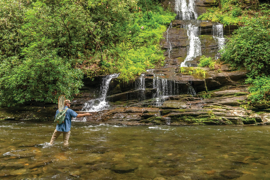 Deep Creek is among the best of 200 fishing streams in the park.