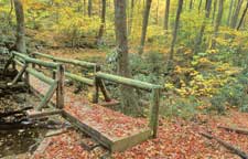 AUTUMN TRAIL. The bridge is along Hurricane Knob Trail in Virginia's Mt. Rogers National Recreation Area.