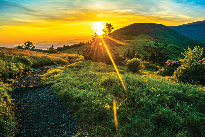 Roan Highlands: Carvers Gap to Jane Bald (both photos). From Roan Mountain, Tennessee, follow U.S. 143 to the state line (Carvers Gap), and the parking area. Cross the road and follow the A.T. for 1.2 miles to Jane Bald. This section starts in pine forest, but yields to 360-degree views of the beautiful Roan Highlands.