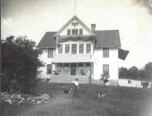 Limair sat on a hill at the top of Cave Hill in Luray, Virginia.