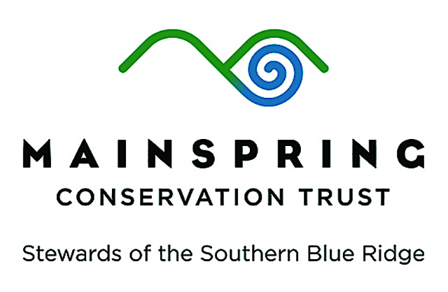 Mainspring logo