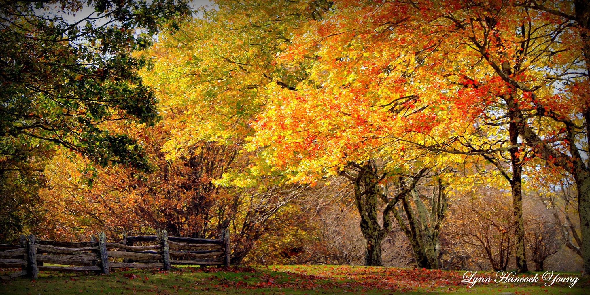 Taken on the Blue Ridge Parkway just South of Mabry Mill.