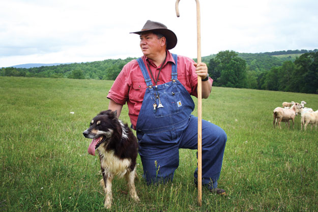 Craig Rogers runs 400-ewe Border Springs Farm in Virginia. His dogs have won national honors.