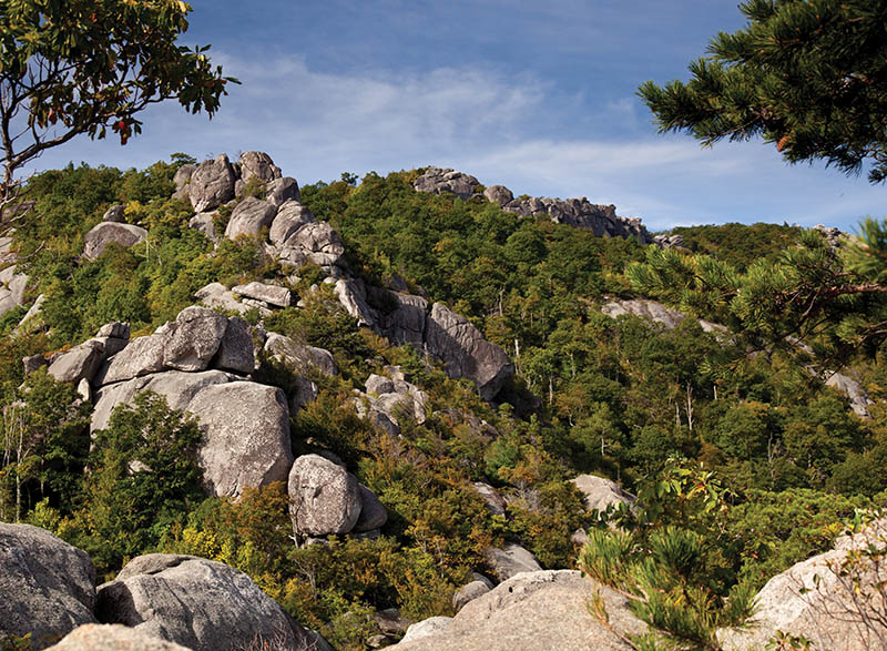 Navigating Old Rag Mountain requires rock scrambles and boulder climbs.