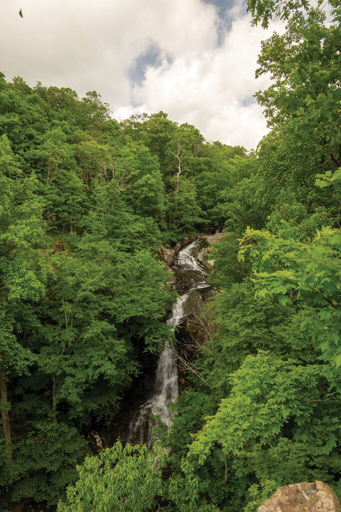 Whiteoak Canyon’s highest waterfall plunges 86 feet over a stone cliff.