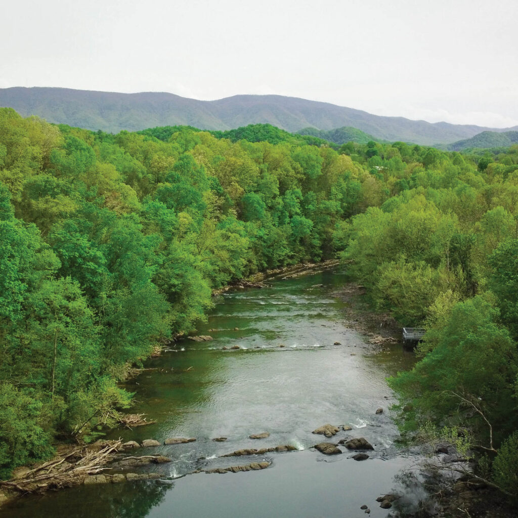 ©Courtesy of South Holston River Lodge