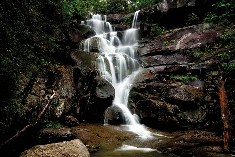 The tallest waterfall in the park, Ramsey Cascades, is surrounded by old-growth forest.