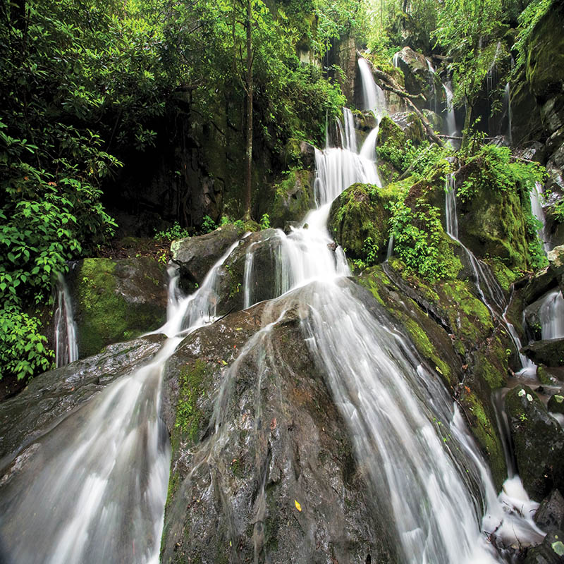 Place of a Thousand Drips” waterfall can be spotted during a drive along the Roaring Fork Motor Nature Trail.