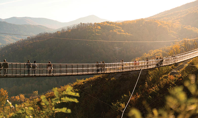 Gatlinburg SkyPark is home to the longest pedestrian cable bridge in North America.