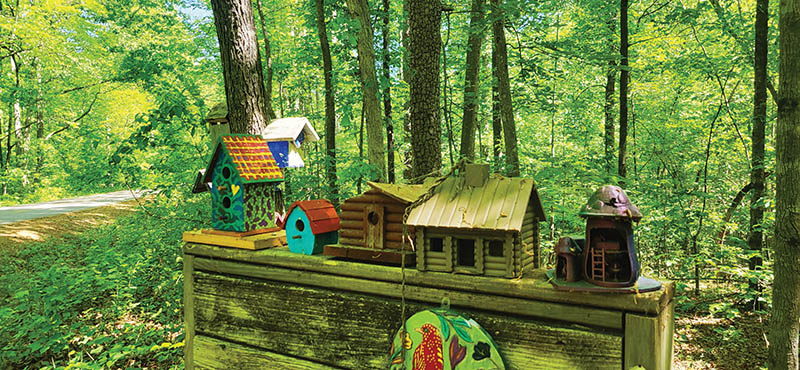 Colorful birdhouses are among the charming sights found along the Swamp Rabbit Trail.
