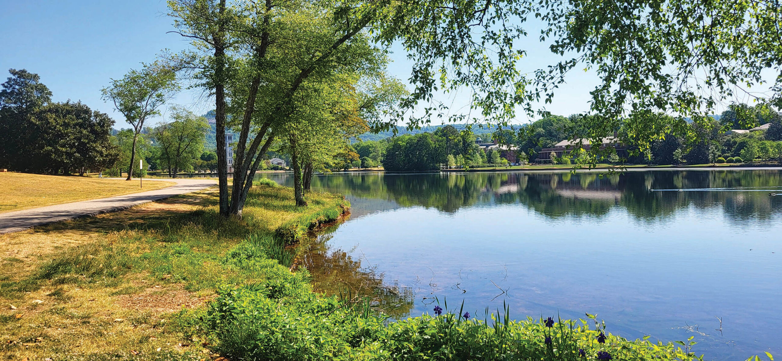 Swan Lake was one of the first features built on Furman’s current campus in the mid-1950s. Photo courtesy of Leonard M. and Laurie Adkins