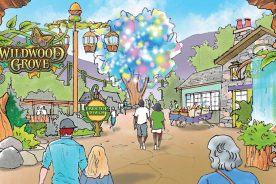 0215398a-053f-11e9-b070-120e7ad5cf50-BRC---DOLLYWOOD4-Wildwood-Grove-Entry-Day