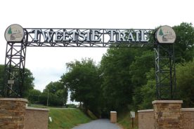 030a5ca8-5aa0-11e7-b2f0-0a5fbc963f88-Tweetsie