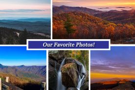 03302862-d60f-11e7-b5e6-121bebc5777e-Collage