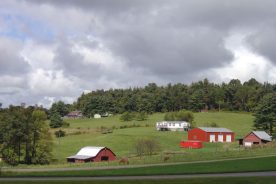 Boundaries between parkway and private land are defined and also porous.