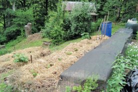Mulching Garden