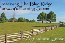 049d89ce-f37a-11e1-abfa-1231394043be-nd04cover