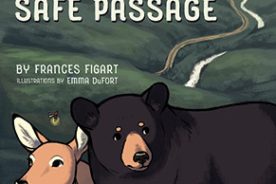 056f16e2-811a-11eb-a6d9-1244d5f7c7c6-A-Search-for-Safe-Passage-cover