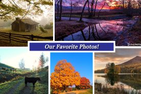 061581c4-acfa-11e6-b7e0-0aea2a882f79-Collage