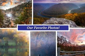 07cc0bd0-83f4-11e5-afa9-22000b078648-Collage