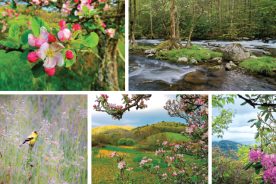 08117e06-bb70-11e4-a860-22000a4f82a6-MarchAprilPhotoEssay